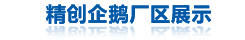 企鹅展示