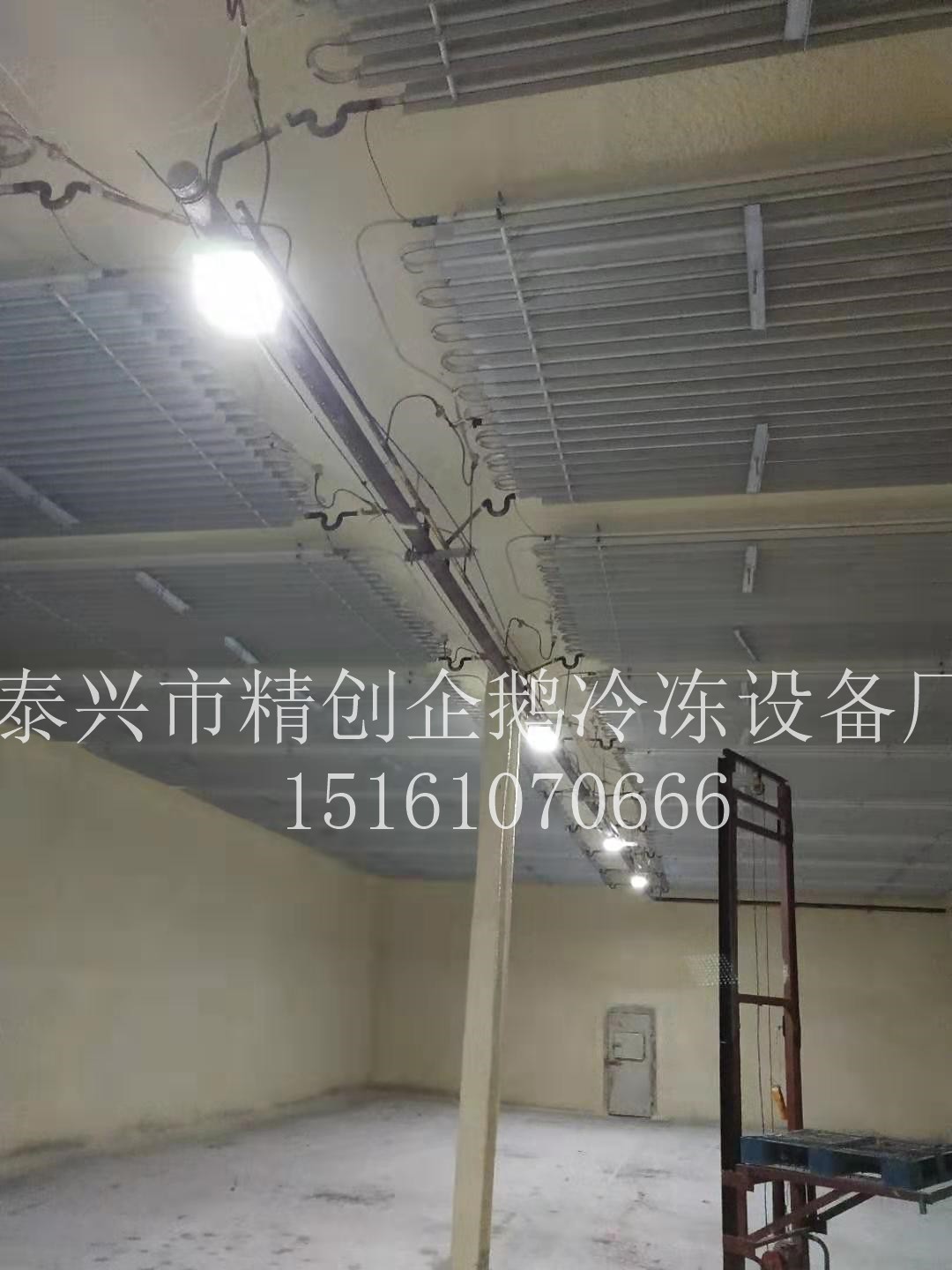 1562654870643443.jpg