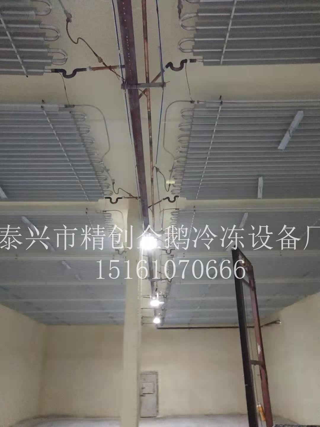 1562654871684231.jpg
